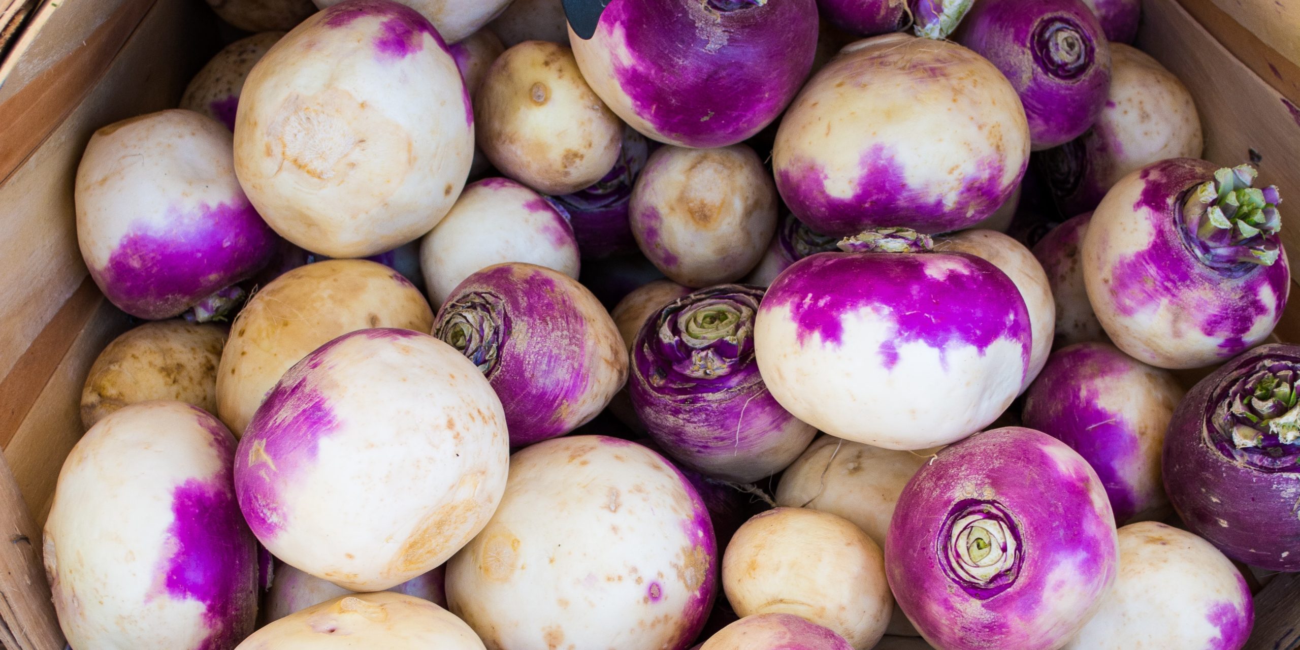 local turnip