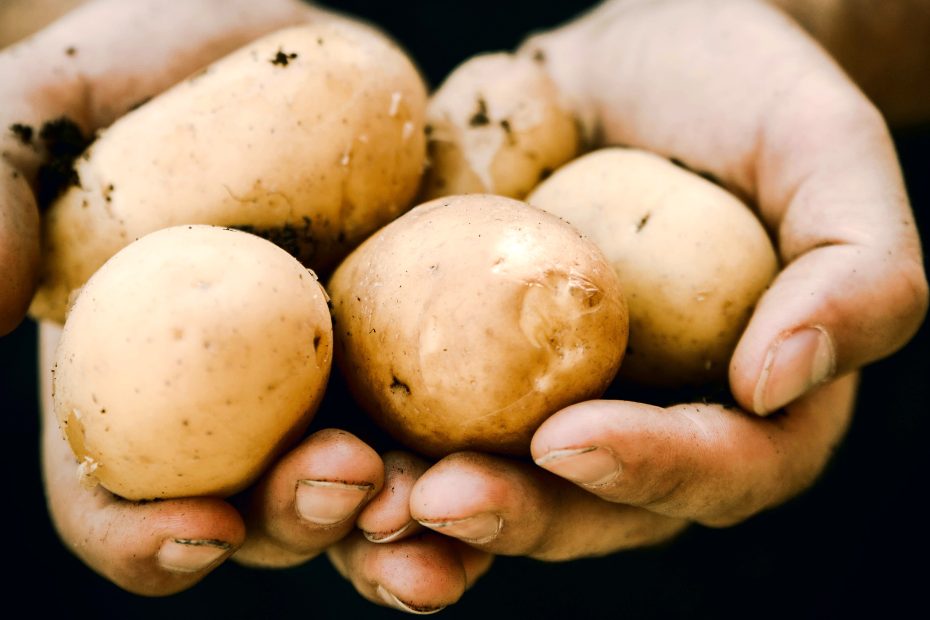 local potatoes