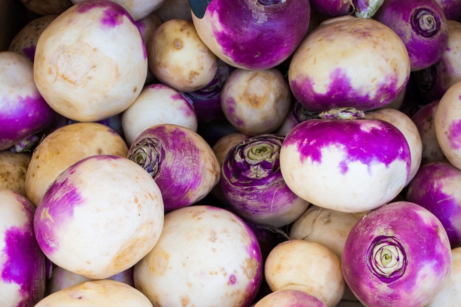 local turnip