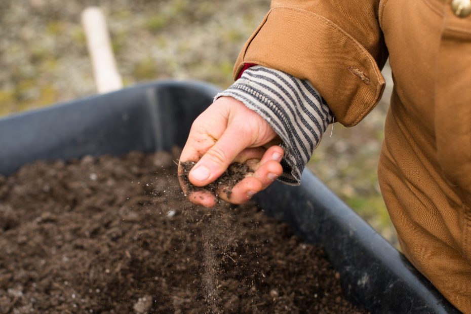 improving our soils